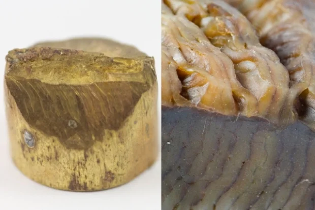 Pictures of materials