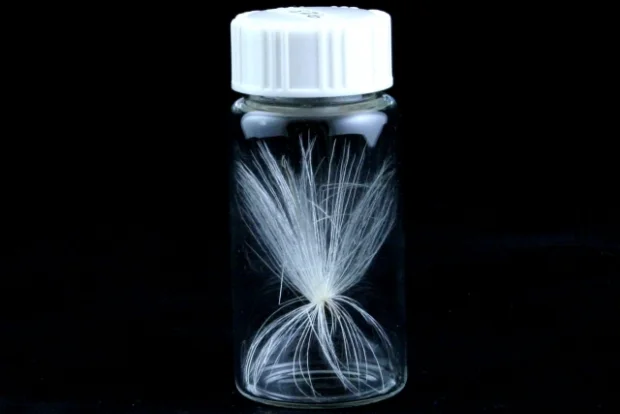 A jar