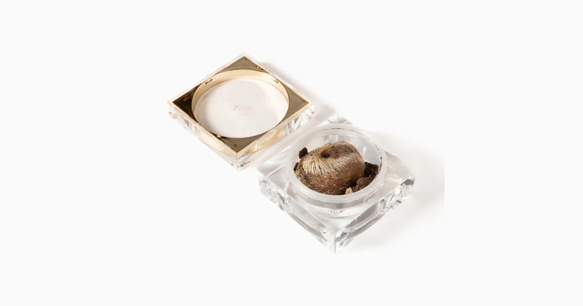 Musk Grains - Institute of Making