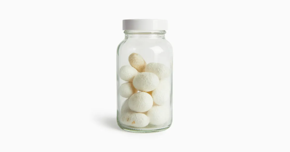 Silk Cocoons - Institute of Making
