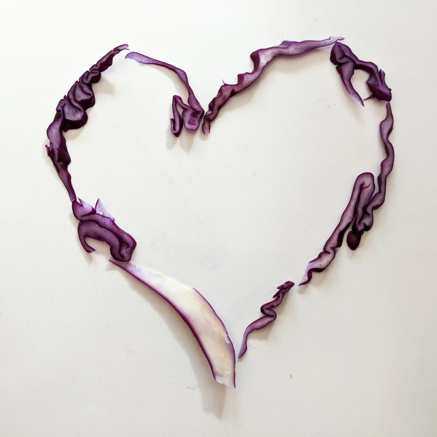 sweetheart cabbage