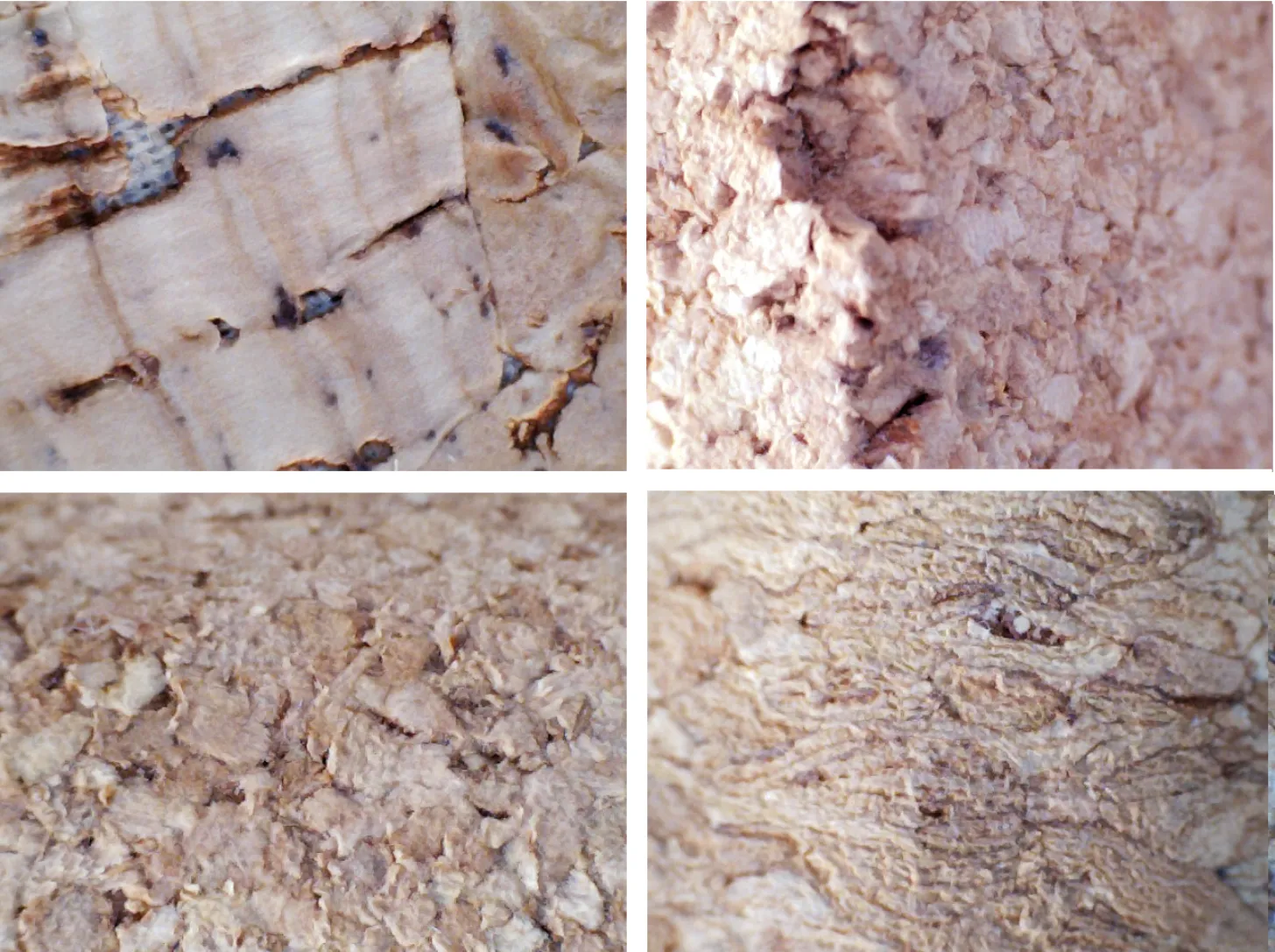 Raw cork