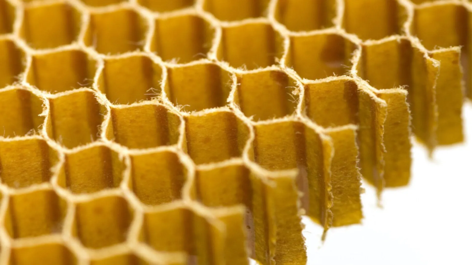 Close up detail of a piece of cardboard highlighting at this close range it is a honeycomb structure