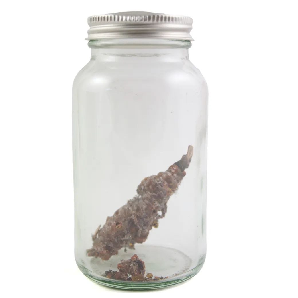 Shellac (raw) - Institute of Making