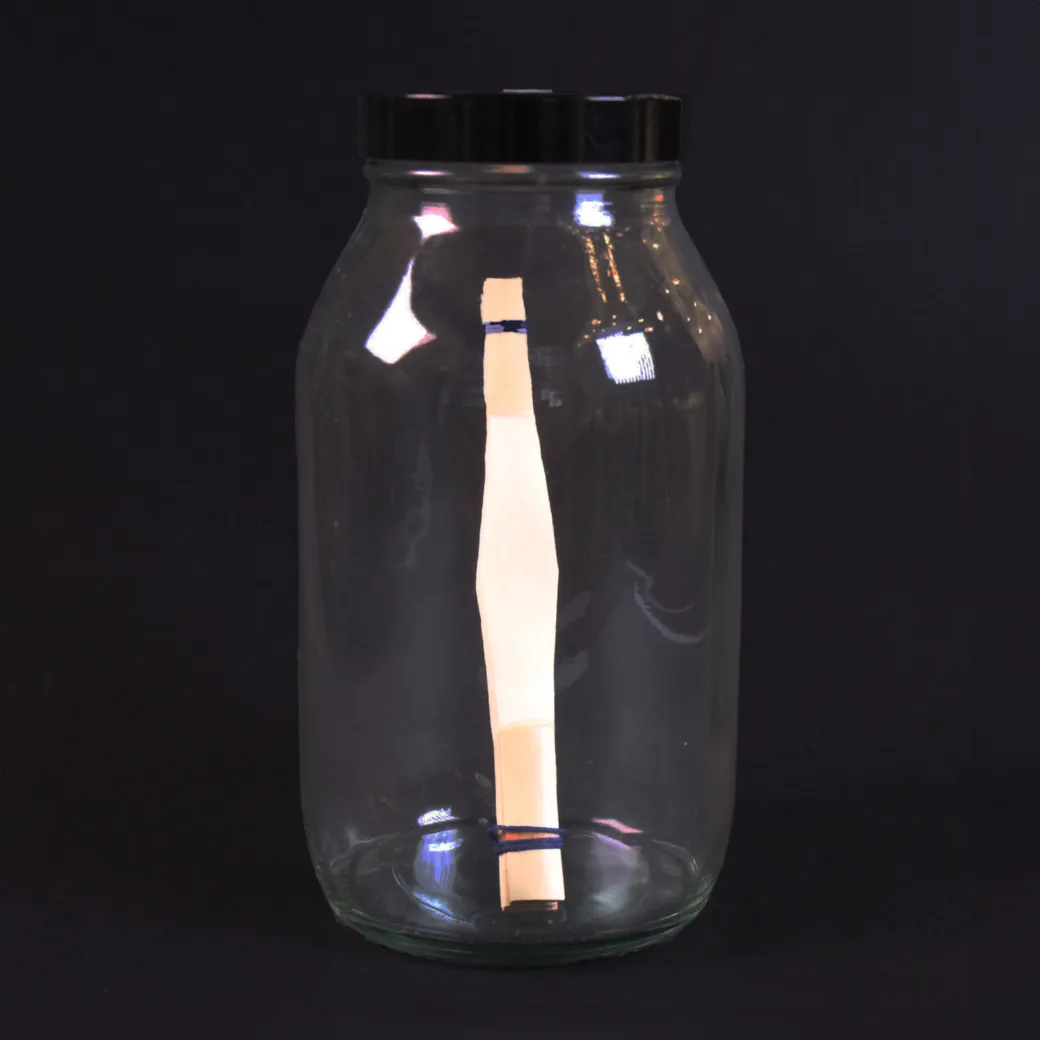 Bassoon Reeds - Institute of Making