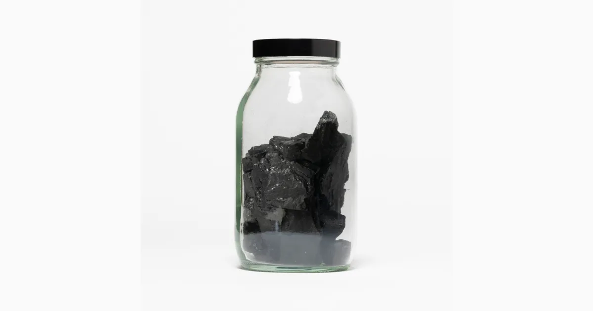 Coal - Institute of Making